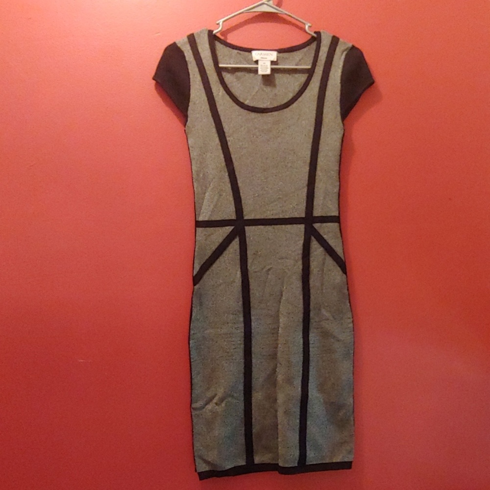 Carmen Marc Valvo Bodycon Dress